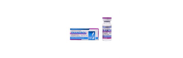 Balkan Enandrol 250 мг/мл 10 мл