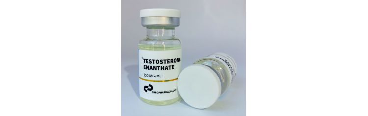 CREOpharma Testosterone Enanthate 250 мг/мл 10 мл