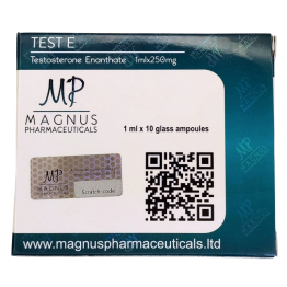 Magnus Testosterone Enanthate 250 мг/мл 1 мл