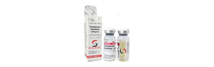 Sigma Testosterone Enanthate 250 мг/мл 10 мл