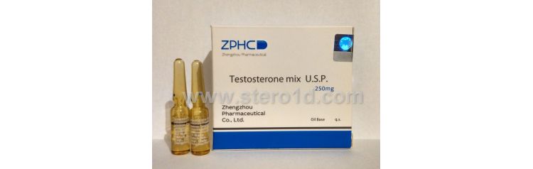 Zhengzhou Testosterone mix 250 мг/мл 1 мл