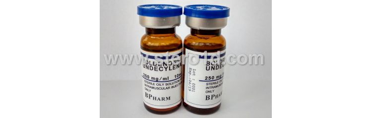 BPharm Bold-U 250 мг/мл 10 мл