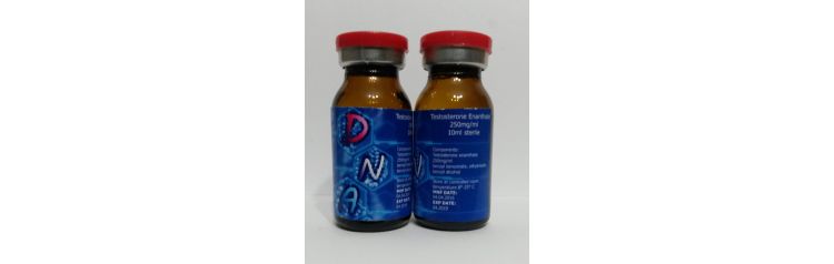 DNA Testosteron Enanthate 250 мг/мл 10 мл